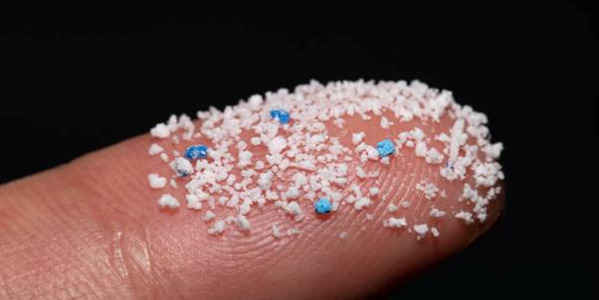 The Invisible Invasion: Microplastics in Testicles and Man's Best Friend