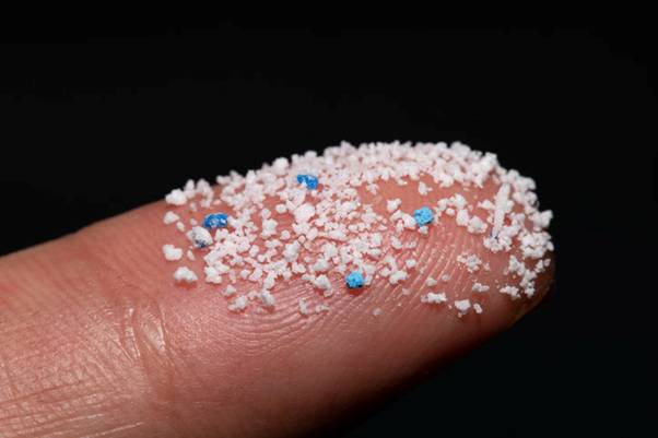 The Invisible Invasion: Microplastics in Testicles and Man's Best Friend